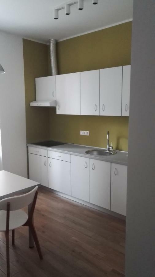Bajta Na Obzidju Apartment Maribor Bagian luar foto